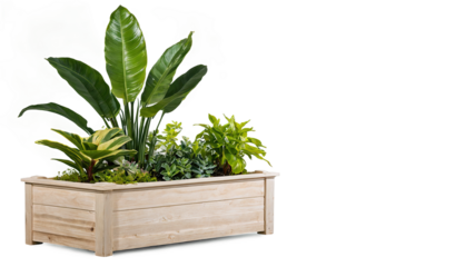 Large Wooden Planter with Mixed Greenery
