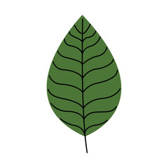 Veined Leaf Vector Illustration