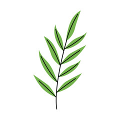 Naklejka premium Thin Leaf Vector Illustration