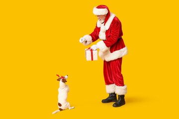 Santa Claus with cute Jack Russell Terrier dog in reindeer horns and Christmas gift box on yellow background