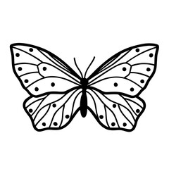 butterfly isolated on white