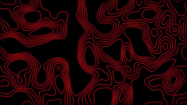 Abstract red pattern with circles. Animated outline topographic background.