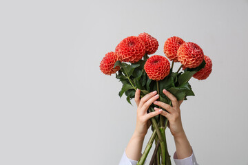 Female hands with bouquet of beautiful orange dahlia flowers on grey background © Pixel-Shot