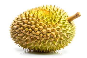 durian isolated on white background