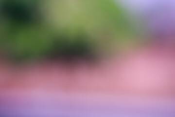 Blurred background image, green, nature, insects