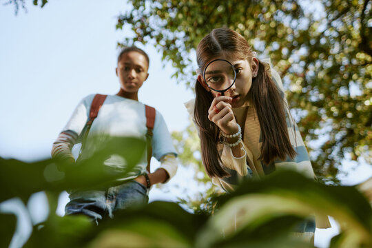 Low angle view of ethnically diverse boy and girl exploring flora in local botanical garden with use of magnifier
