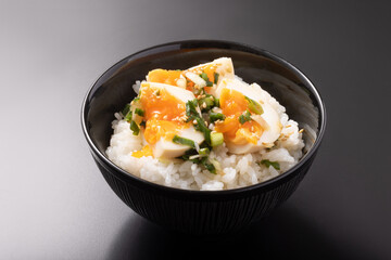つけだれ煮卵ごはん