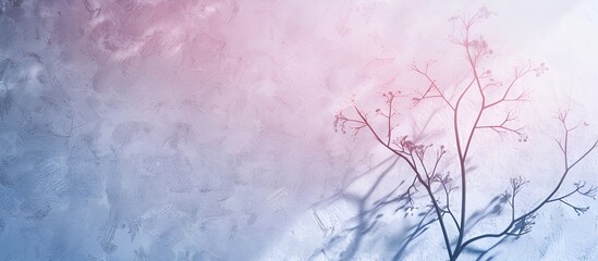 Abstract Tree Shadows on Wall in Sunlight