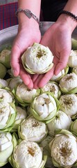 Holding a Lotus Flower

This phrase could describe someone gently holding a lotus flower, often...
