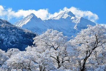 Majestic Snowy Peaks with Frosted Trees in a Winter Wonderland Landscape