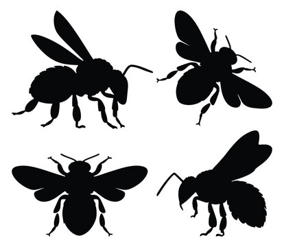 Set of bee silhouettes black insect vector illustrations.