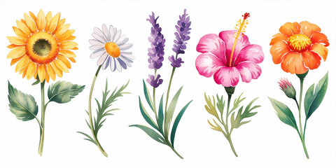 A colorful bouquet of mixed flowers including tulips, daisies, and chrysanthemums, showcasing vibrant spring and summer blooms