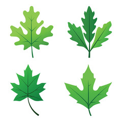 Set of Autumn Forest Green Leaves Seasonal Decorative Elements