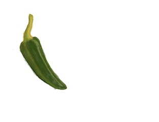 green chili pepper. Jalepeno Flat Design Vegetable Icon. Green Chili Pepper Illustration