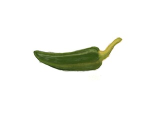 green chili pepper. Jalepeno Flat Design Vegetable Icon. Green Chili Pepper Illustration