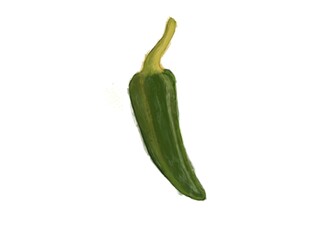 green chili pepper. Jalepeno Flat Design Vegetable Icon. Green Chili Pepper Illustration