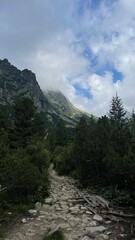 Obraz premium Mountain View