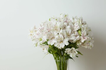 Beautiful white alstroemeria in a vase on the table