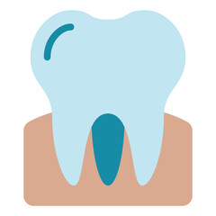 Molar icon