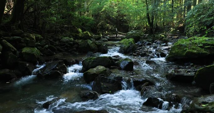 くらがり渓谷の清流　愛知県
