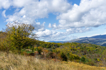 Autumn colored bushes and grass on yellow grass. Mountains, hills and sky with clouds in the background