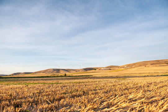Cereal Table of Castilla y Leon, on the St. James Way in autumn 2024