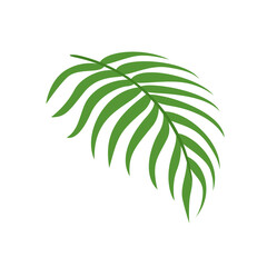 Green palm leaf isolated on white background. Vector cartoon flat illustration.