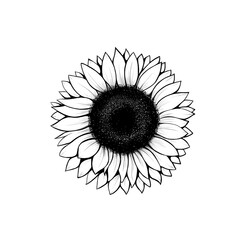Fototapeta premium illustration of a sunflower