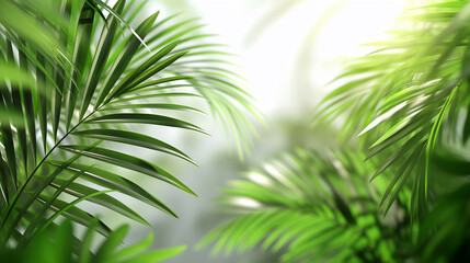 Fototapeta premium Green Palm Tree Leaves Against a Bright Background