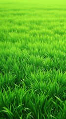 Obraz premium A serene green meadow with lush grass swaying gently in the wind, grassy area, peaceful atmosphere