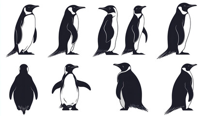 Fototapeta premium Silhouettes of penguins on white
