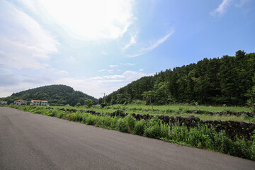 제주도 제주시 봉개동 안세미오름