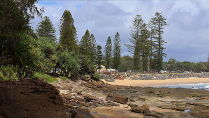 Moffat beach pines local rocks and ocean