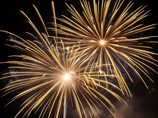 Obraz premium fireworks in the night sky, New Year festival or celebration.