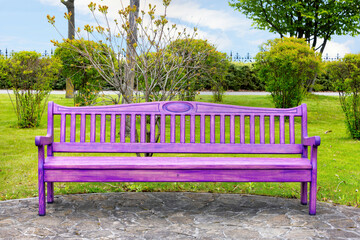 Vibrant purple bench resting peacefully in a lush park under a clear sky