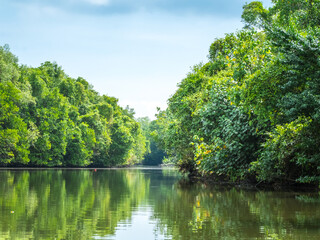 Obraz premium Baan Bang Pu, Pattani area is famous for its natural beauty of pristine mangrove forest and eco tourism.