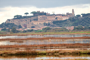 Italy Tuscany Maremma Castiglione della Pescaia, natural reserve of Diaccia Botrona In the background the castle and the ancient village