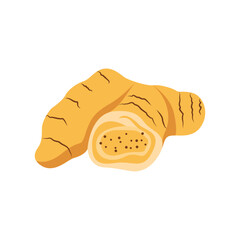 Ginger Vector Illustration