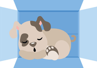 Cute puppy sleeping in cardboard box