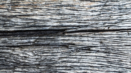 Fototapeta premium close up of a log old wood background