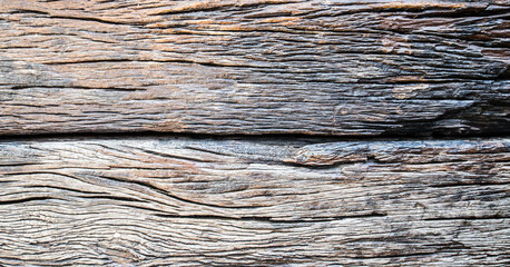 Fototapeta premium close up of a log old wood background