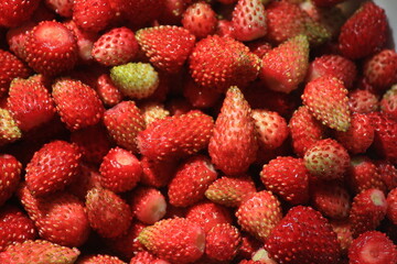 Red strawberries close up