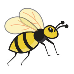Bee Illustration