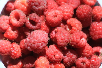 red ripe raspberries close up