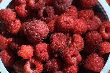 Red ripe raspberries close up