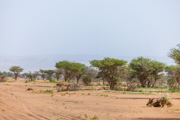Moroccan Sahara Desert, ancient black volcanic mountains, the Sahara River Oued Ghris, stunning...