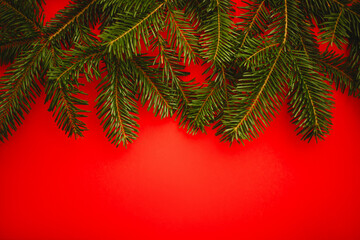 red christmas background. Minimalist Christmas arrangement with fresh evergreen branches and golden pinecones on a vibrant red background, perfect for holiday designs.