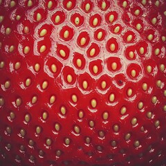 Close-up of a ripe strawberry's surface, showing its seeds and texture.