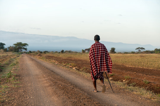 Maasai warrior walks through the savannah. Maasai are a Nilotic ethnic group of semi-nomadic people inhabiting southern Kenya and northern Tanzania.