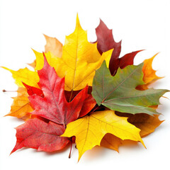 Obraz premium Pile Of Autumn Leaves Isolated